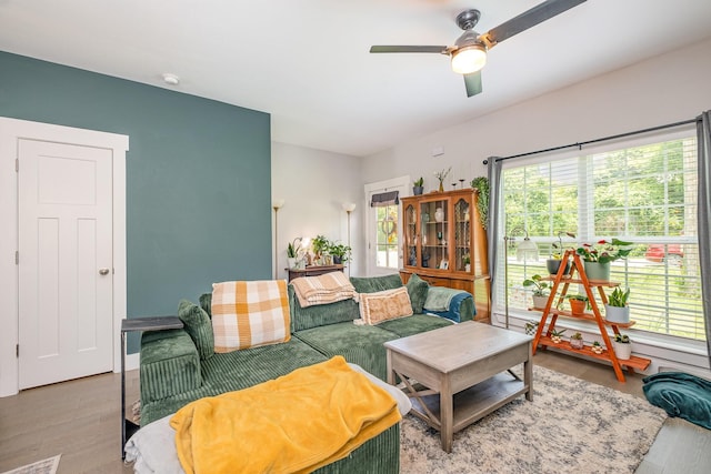 252 Caroline Dr Unit A, Murfreesboro, TN 37128 - living area featuring plenty of natural light, a ceiling fan, and wood finished floors