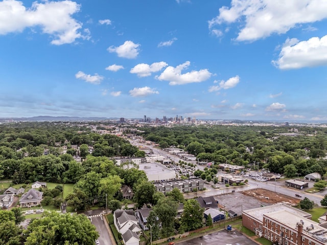 1301 Mckennie Ave, Nashville, TN 37206 - photo 62