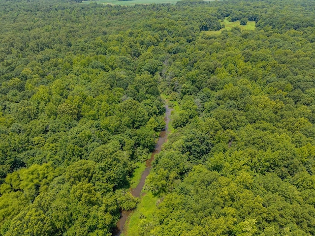 0 Old Railroad Bed Rd, Taft, TN 38488 - photo 4