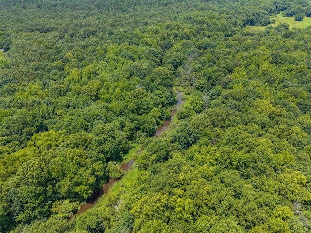 0 Old Railroad Bed Rd, Taft, TN 38488 - photo 2