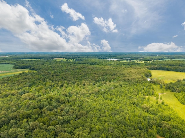 0 Old Railroad Bed Rd, Taft, TN 38488 - photo 6