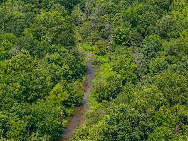 0 Old Railroad Bed Rd, Taft, TN 38488 - photo 3