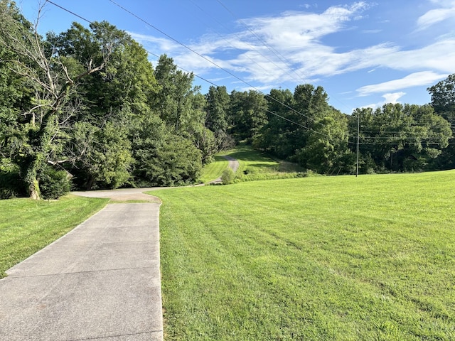 3807 Bear Creek Rd, Thompsons Station, TN 37179 - photo 3