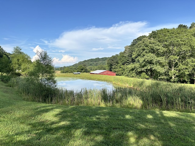 3807 Bear Creek Rd, Thompsons Station, TN 37179 - photo 1