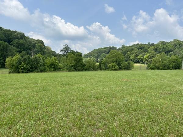3807 Bear Creek Rd, Thompsons Station, TN 37179 - photo 34