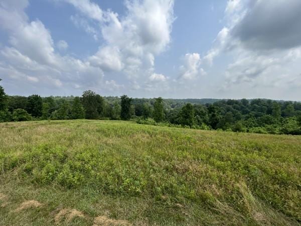 3807 Bear Creek Rd, Thompsons Station, TN 37179 - photo 19