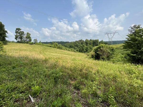 3807 Bear Creek Rd, Thompsons Station, TN 37179 - photo 14
