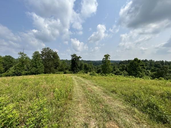 3807 Bear Creek Rd, Thompsons Station, TN 37179 - photo 22