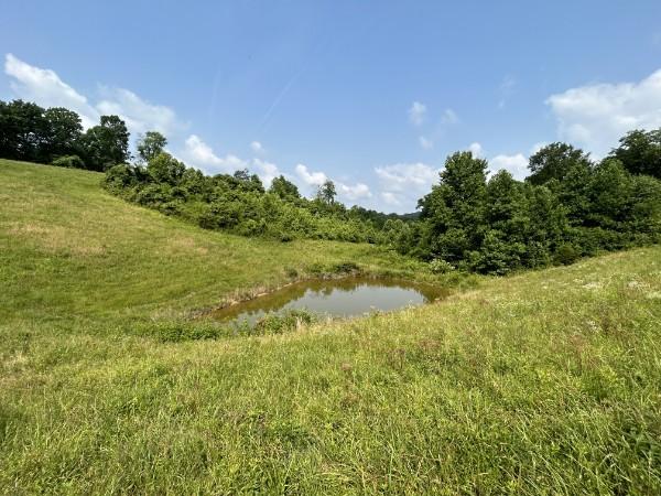 3807 Bear Creek Rd, Thompsons Station, TN 37179 - photo 12