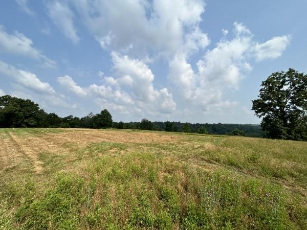 3807 Bear Creek Rd, Thompsons Station, TN 37179 - photo 20