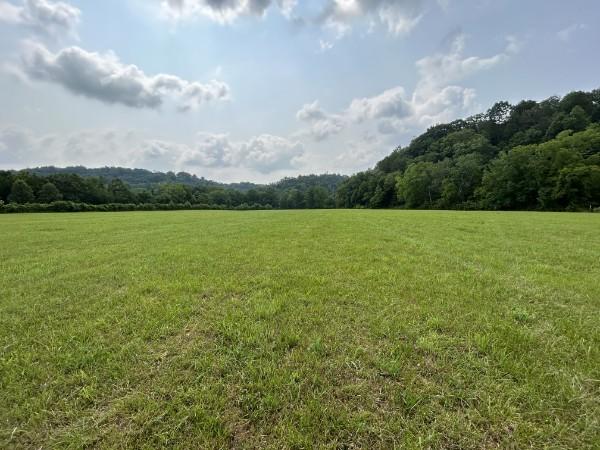 3807 Bear Creek Rd, Thompsons Station, TN 37179 - photo 35