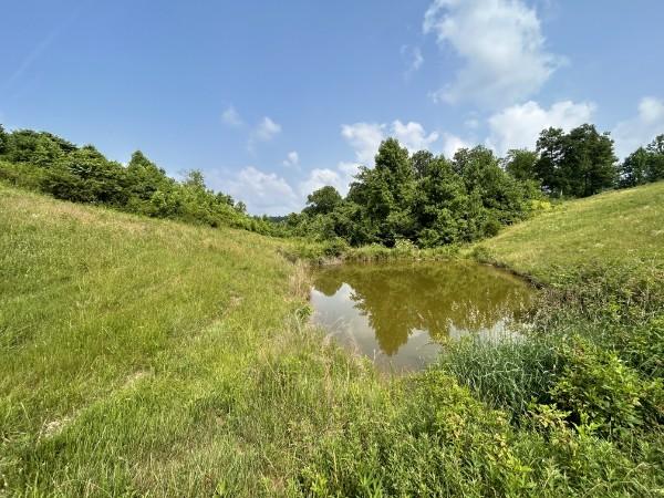 3807 Bear Creek Rd, Thompsons Station, TN 37179 - photo 10