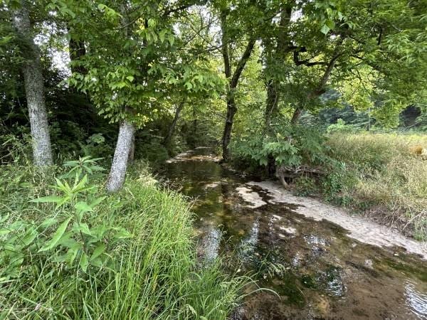 3807 Bear Creek Rd, Thompsons Station, TN 37179 - photo 28