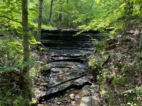 3807 Bear Creek Rd, Thompsons Station, TN 37179 - photo 7
