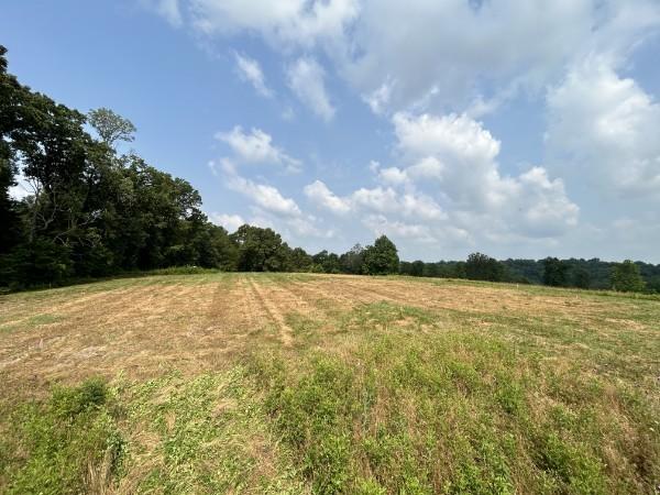 3807 Bear Creek Rd, Thompsons Station, TN 37179 - photo 18