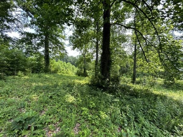 3807 Bear Creek Rd, Thompsons Station, TN 37179 - photo 11