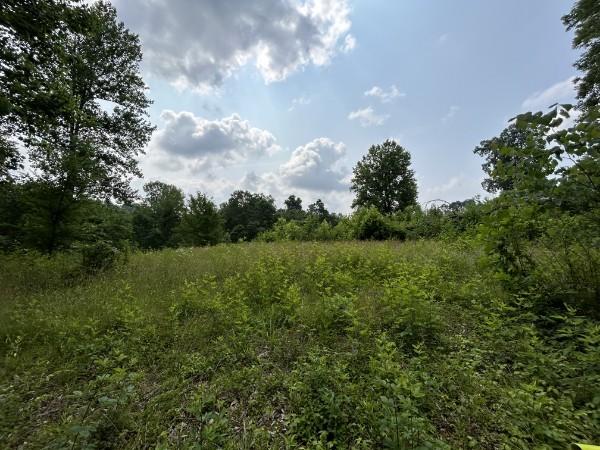 3807 Bear Creek Rd, Thompsons Station, TN 37179 - photo 25