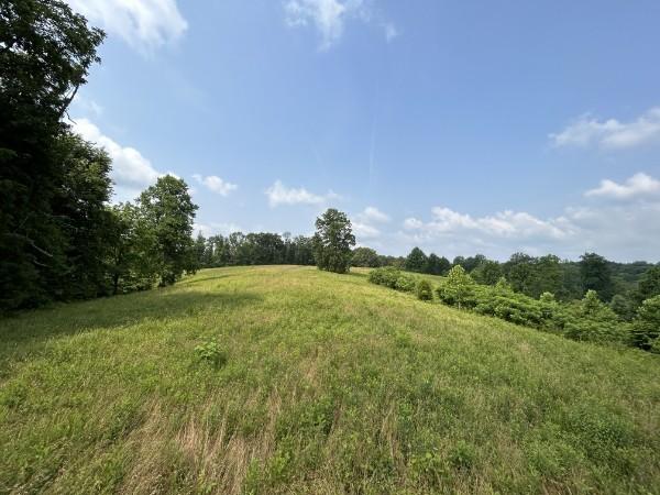 3807 Bear Creek Rd, Thompsons Station, TN 37179 - photo 17