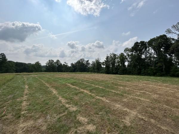 3807 Bear Creek Rd, Thompsons Station, TN 37179 - photo 21