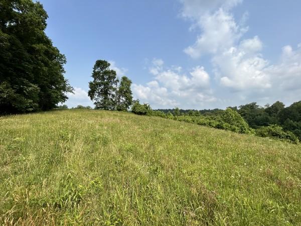 3807 Bear Creek Rd, Thompsons Station, TN 37179 - photo 13