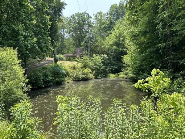 3807 Bear Creek Rd, Thompsons Station, TN 37179 - photo 16