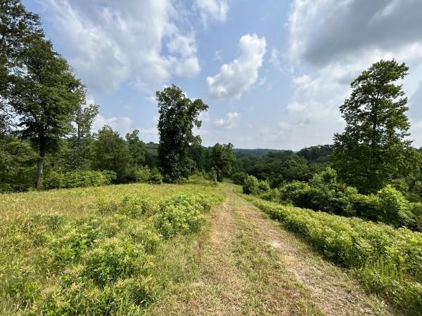 3807 Bear Creek Rd, Thompsons Station, TN 37179 - photo 24
