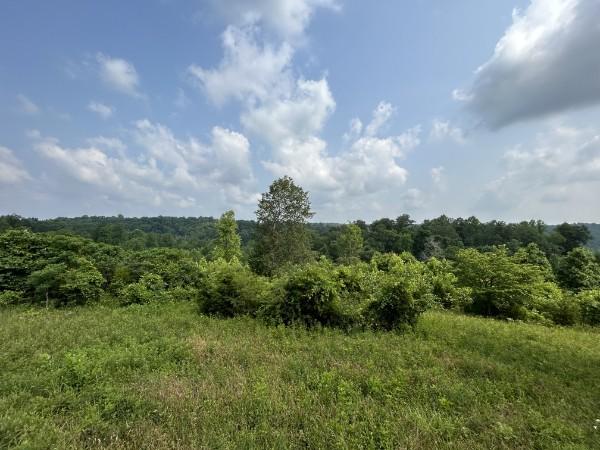 3807 Bear Creek Rd, Thompsons Station, TN 37179 - photo 15