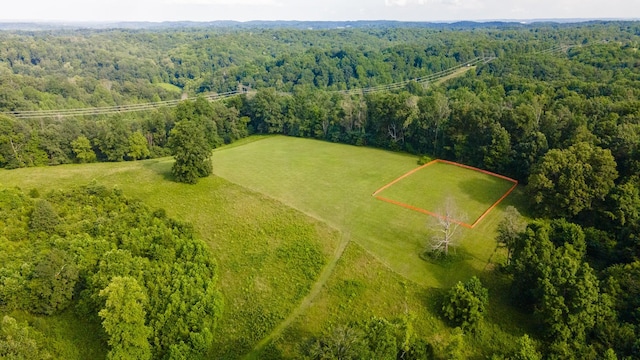 3807 Bear Creek Rd, Thompsons Station, TN 37179 - photo 53