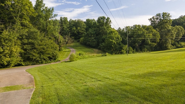 3807 Bear Creek Rd, Thompsons Station, TN 37179 - photo 38