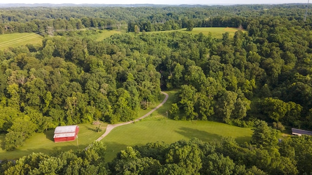 3807 Bear Creek Rd, Thompsons Station, TN 37179 - photo 40