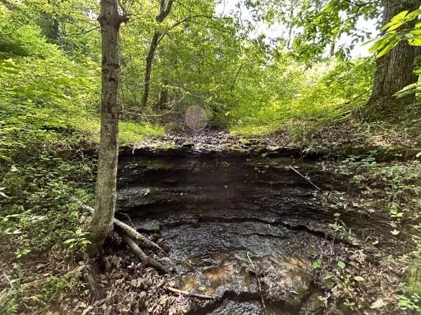 3807 Bear Creek Rd, Thompsons Station, TN 37179 - photo 8