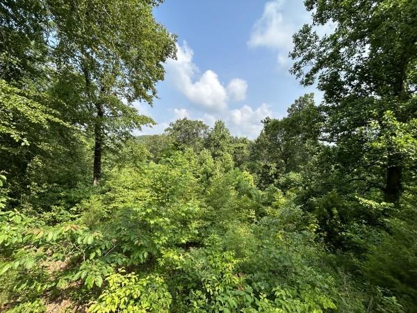 3807 Bear Creek Rd, Thompsons Station, TN 37179 - photo 6