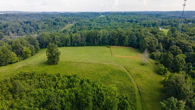 3807 Bear Creek Rd, Thompsons Station, TN 37179 - photo 47