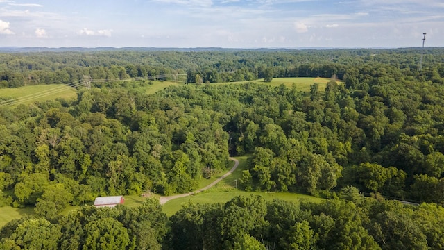 3807 Bear Creek Rd, Thompsons Station, TN 37179 - photo 41