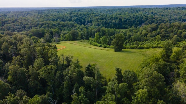 3807 Bear Creek Rd, Thompsons Station, TN 37179 - photo 50