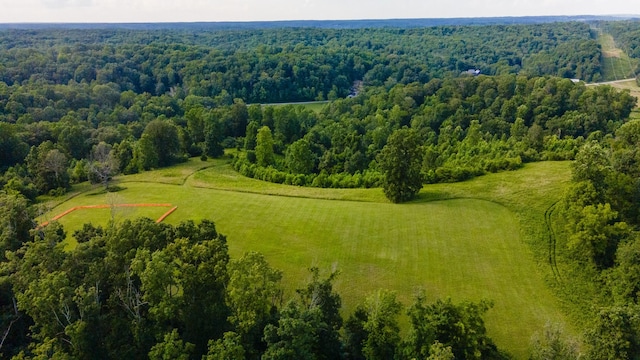 3807 Bear Creek Rd, Thompsons Station, TN 37179 - photo 51