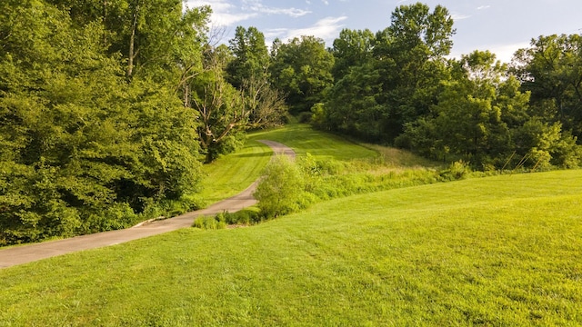 3807 Bear Creek Rd, Thompsons Station, TN 37179 - photo 37