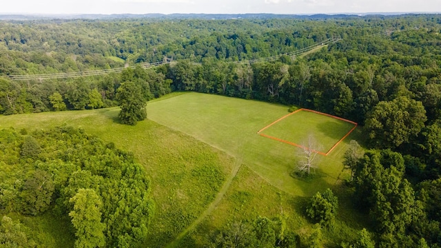 3807 Bear Creek Rd, Thompsons Station, TN 37179 - photo 54