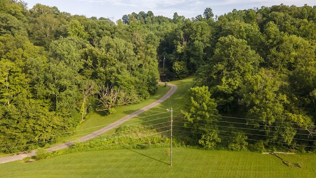 3807 Bear Creek Rd, Thompsons Station, TN 37179 - photo 42