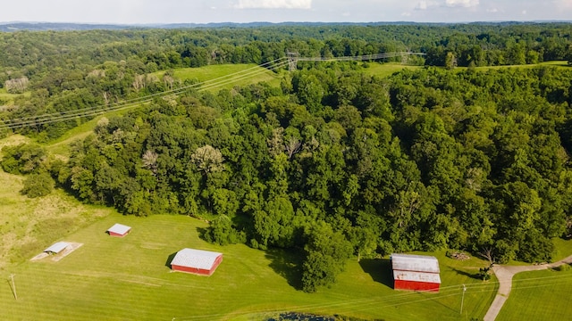 3807 Bear Creek Rd, Thompsons Station, TN 37179 - photo 59