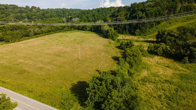 3807 Bear Creek Rd, Thompsons Station, TN 37179 - photo 58