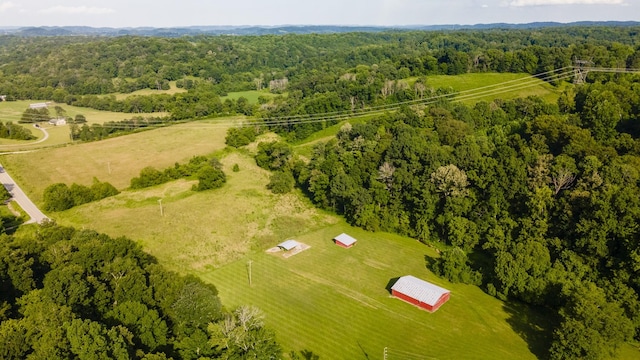3807 Bear Creek Rd, Thompsons Station, TN 37179 - photo 60