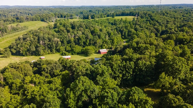 3807 Bear Creek Rd, Thompsons Station, TN 37179 - photo 57