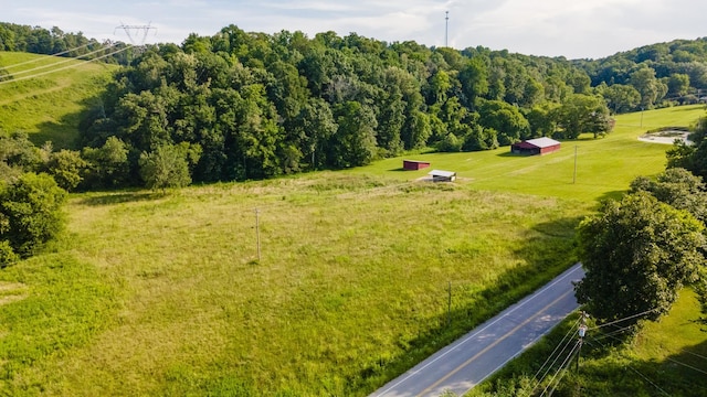 3807 Bear Creek Rd, Thompsons Station, TN 37179 - photo 62
