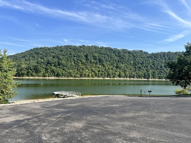311 Johnson Chapel Rd, Sparta, TN 38583 - photo 6