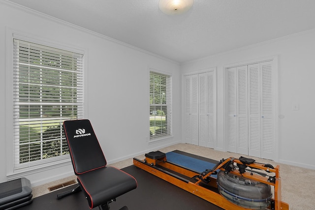 3351 Oak Burr Dr, Chattanooga, TN 37419 - workout area featuring crown molding and carpet flooring