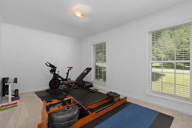 3351 Oak Burr Dr, Chattanooga, TN 37419 - workout area with crown molding and carpet flooring