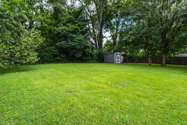 818 W Clark Blvd, Murfreesboro, TN 37129 - view of yard with a storage unit