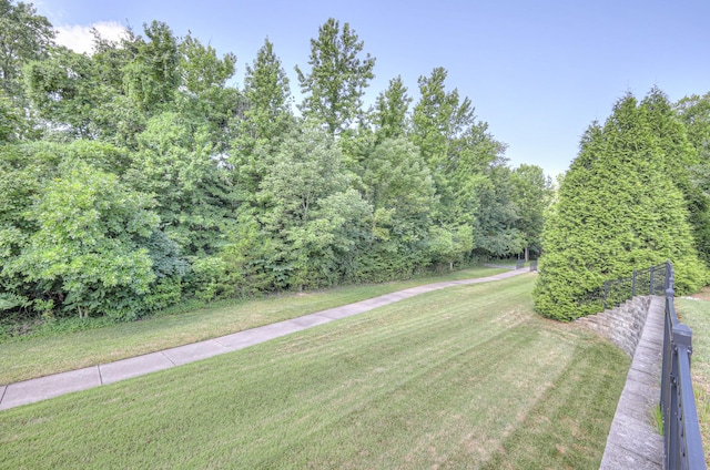 154 Salient Ln, Mount Juliet, TN 37122 - view of green lawn