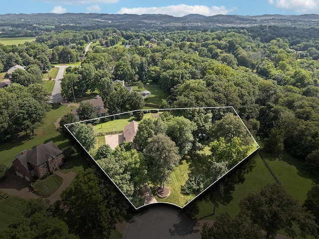2181 Albany Dr, Franklin, TN 37067 - photo 63